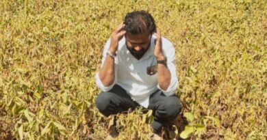 धरण झाली फुल्ल, पाण्याअभावी पिकं झाली गुल्ल धरण झाली फुल्ल, पाण्याअभावी पिकं झाली गुल्ल