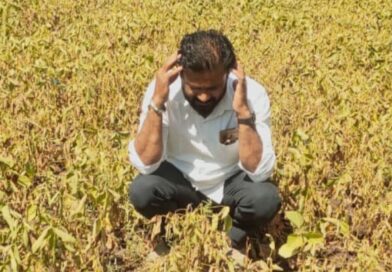 धरण झाली फुल्ल, पाण्याअभावी पिकं झाली गुल्ल धरण झाली फुल्ल, पाण्याअभावी पिकं झाली गुल्ल