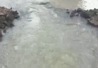 नगराध्यक्षांच्या घरासमोरच जलवाहीणी फुटली, लाखो लिटर पाणी वाया नगराध्यक्षांच्या घरासमोरच जलवाहीणी फुटली, लाखो लिटर पाणी वाया